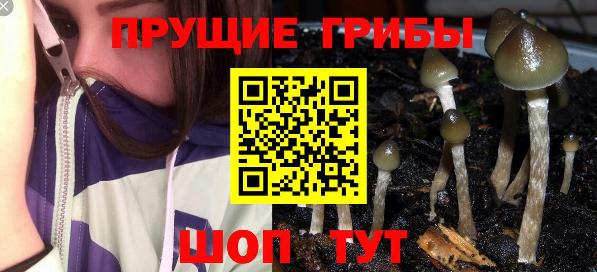 Холмск  Псилоцибиновые грибы мицелий  Вход с VPN 